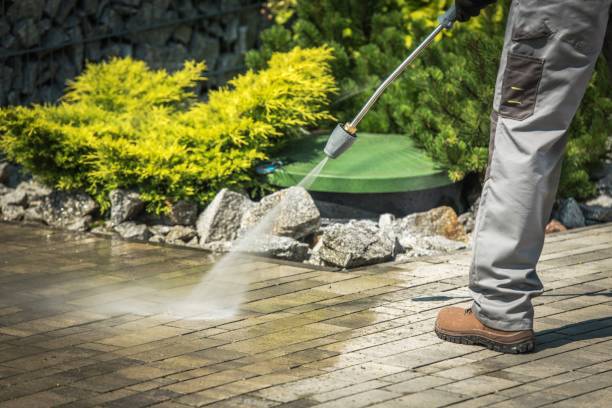 Best Building Exterior Pressure Washing in Dortches, NC