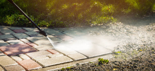 Best Brick and Stone Cleaning in Dortches, NC